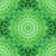 thumbnail image 1 of Ahgly Company Machine Washable Indoor Square Transitional Neon Green Area Rugs, 5' Square, 1 of 7
