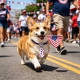 thumbnail image 2 of Yhmxh 4th of July Pet Necktie, Adjustable American Flag Collar Bows Patriotic Red White Blue Star Stripes Dog Cat Bow Tie Collar, Cute Independence Day Pet Costume Accessory for Small Medium Pets, 2 of 7