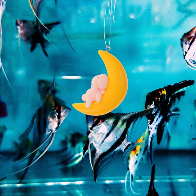 unbranded 2Pcs Aquarium Accessories for Fish Tank Assorted Color Durable Hanging Moon Puppy Ornament