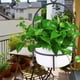 thumbnail image 3 of Maceta, jardín balcón colgante redondo macetero cesta soporte para plantas mejor en su clase, 3 of 8