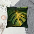 thumbnail image 2 of Acheng Short Plush Pillowcase 1 Piece - Palm Leaves with Lush Branches and Leaves, Tropical Jungle Palm Leaves with Charming Colors White, 2 of 5