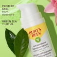 thumbnail image 3 of Sérum facial Burt's Bees, té verde, refuerzo antioxidante, 30 ml, 3 of 9