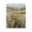 Breezy Pastures Meadow, variant on Stupell Industries Nature's Palette Atmosphere Canvas Wall Art, design by Svetlana Aleynikova
