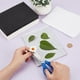 thumbnail image 3 of Kit para prensar flores (50 piezas), 10 hojas de papel absorbente, 10 esponjas, 30 hojas de papel secante para manualidades con flores secas, scrapbooking e invitaciones., 3 of 6