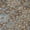 Chocolate, variant on Addison Rugs Chantille Indoor/Outdoor Traditional Global Black Machine Washable Rectangle Rug, 10' x 14'