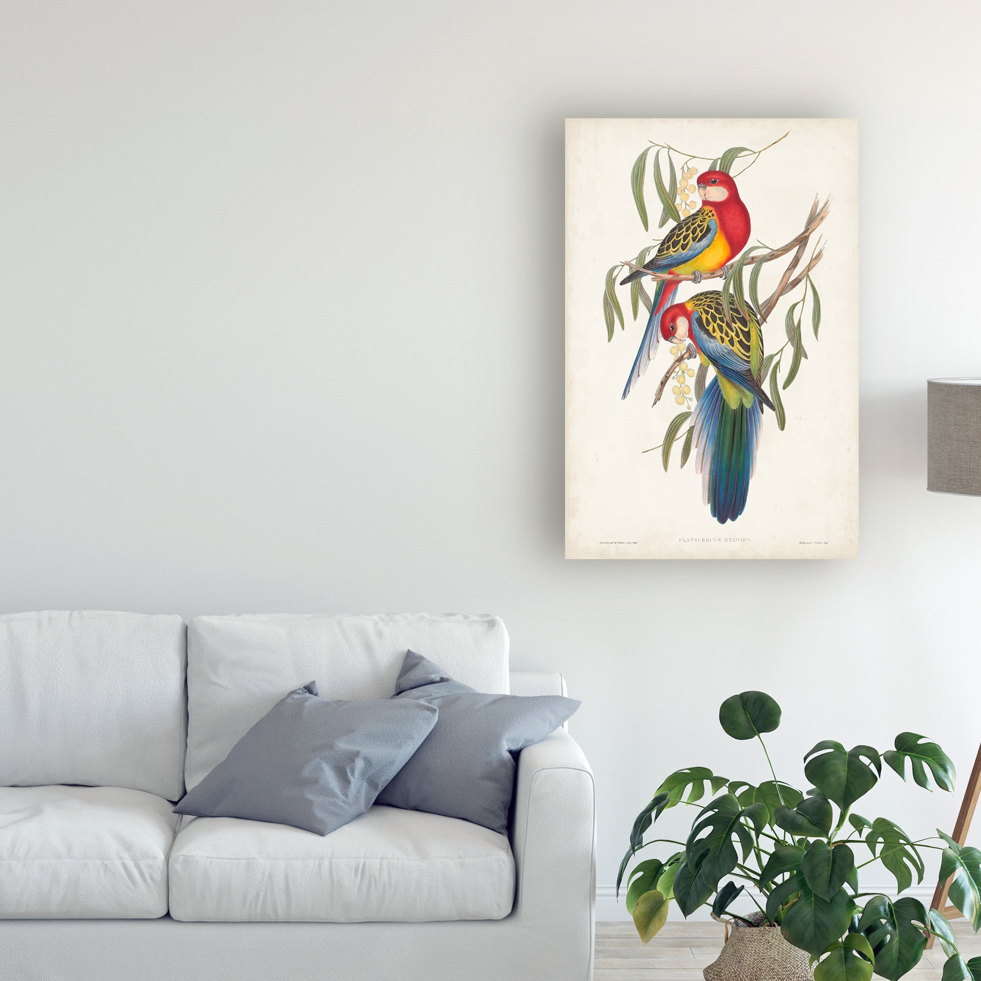 Trademark Fine Art 'Tropical Parrots IV' Canvas Art by John Gould