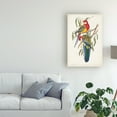 thumbnail image 3 of Trademark Fine Art 'Tropical Parrots IV' Canvas Art by John Gould, 3 of 4