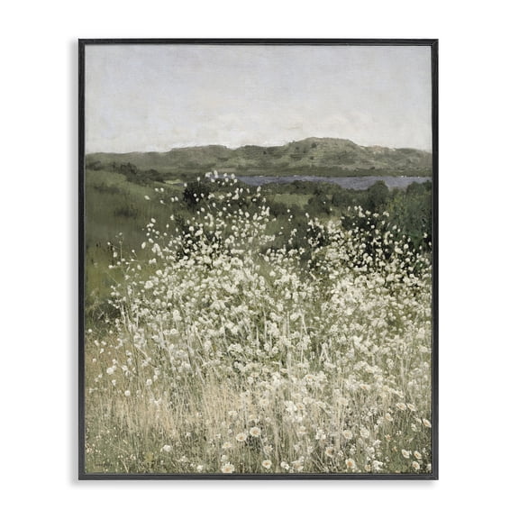 Stupell Industries Sunlit Meadow of White Daisies Black Framed Giclee Art, design by Amber Sterling
