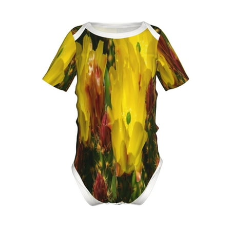 

Junzan Cactus Flowers Print Short-Sleeve Baby Climbing Clothes Bodysuits for Infant One-Piece for Baby Boys & Girls Baby Clothes Baby Romper with Snap Closure-2 Years
