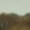 Green, variant on 5 Piece Ghillie Suit Desert - Youth Large