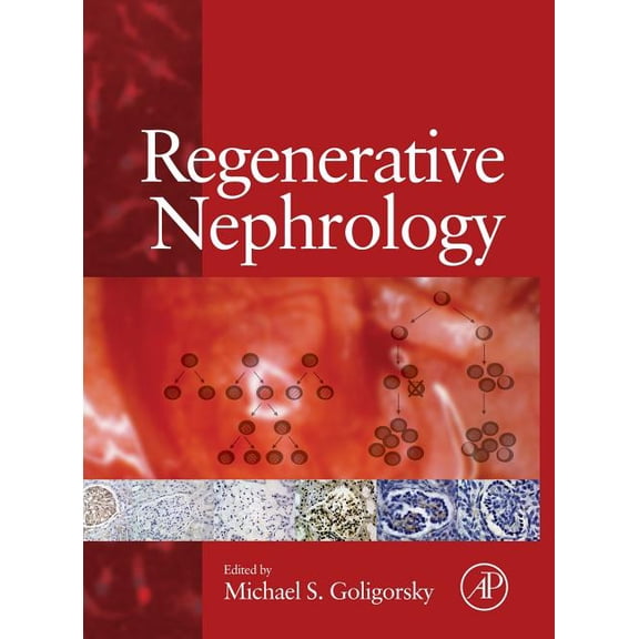 Regenerative Nephrology, (Hardcover)