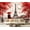 Color 4, variant on Wall Mural Peel and Stick Oil Painting Paris european city landscape France eiffel tower Black Self-Adhesive Wallpaper Removable Wall Decal Wall Sticker Home Decor for Living Room Bedroom 100"x144"