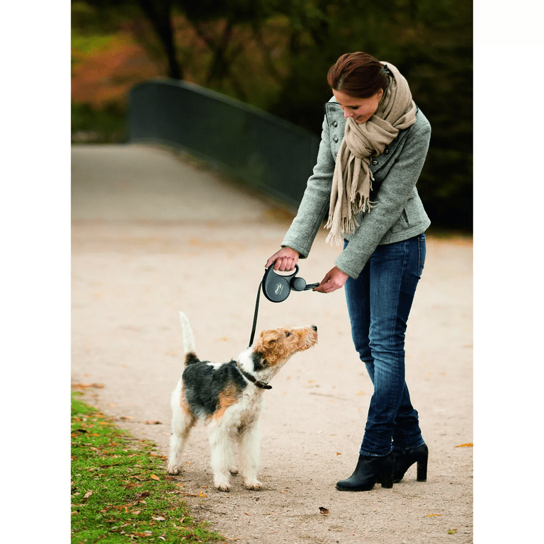 Flexi 2 dog leash 2025