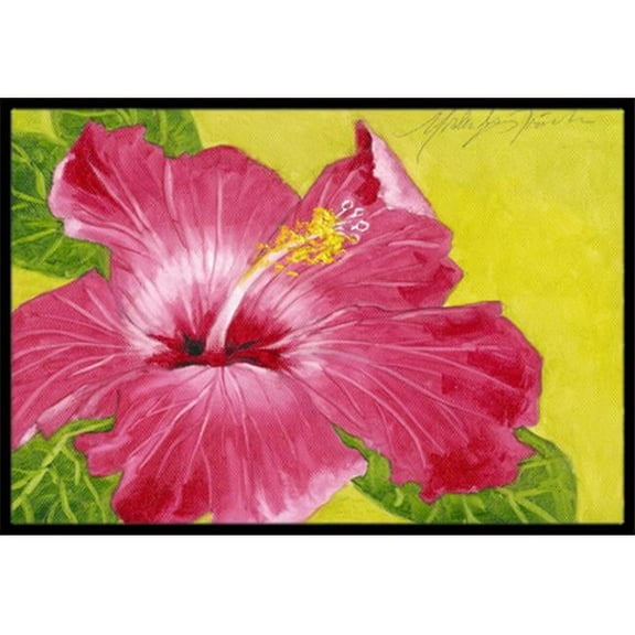 Hot Pink Hibiscus by Malenda Trick Indoor or Outdoor Mat, 24 x 36