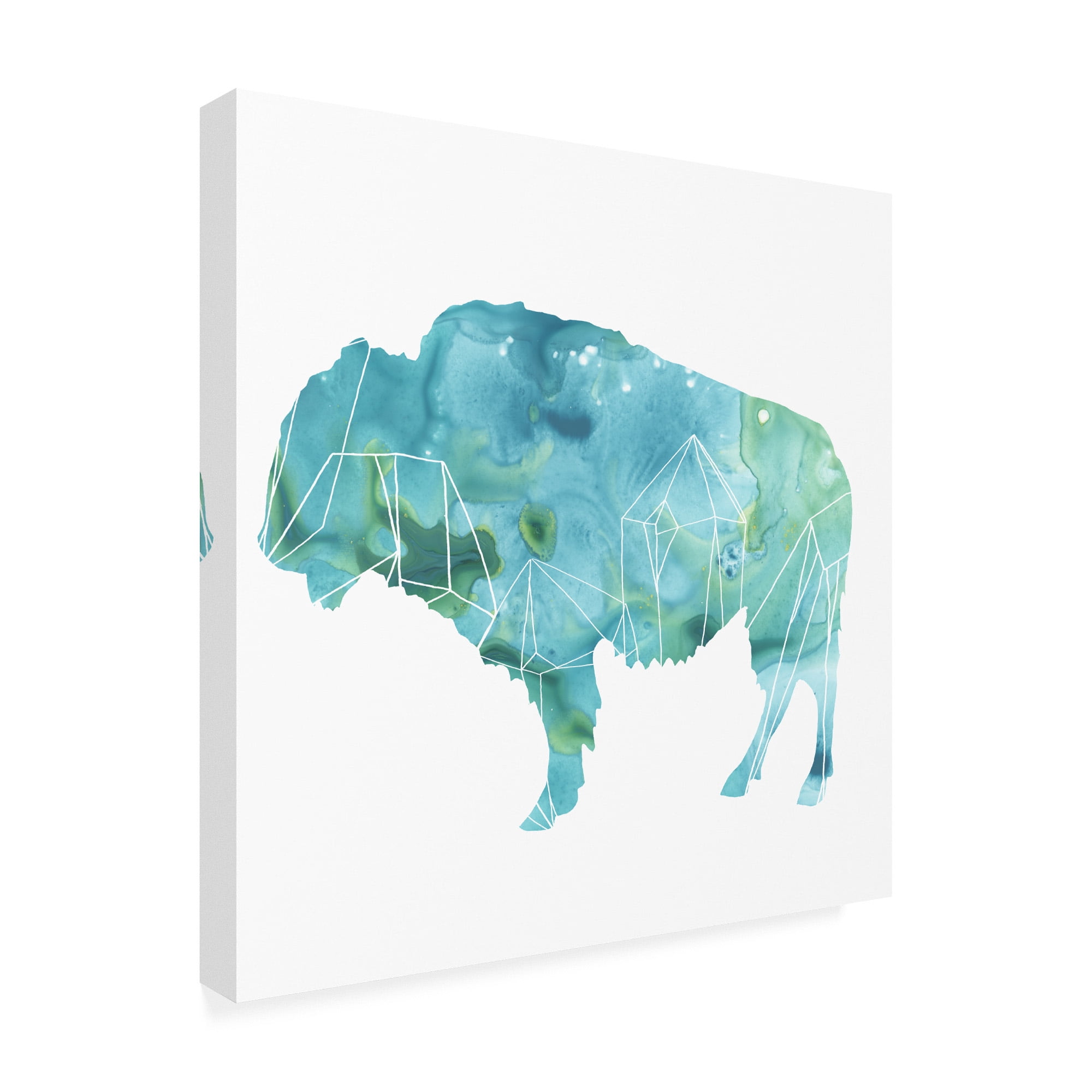 Trademark Fine Art 'Agate Animal IV' Canvas Art by June Erica Vess