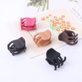 thumbnail image 2 of Small Hair Claw Clips for Women Girl,Fashion Acrylic Hair Clips Little Tiny Nonslip Matte Jaw Clips Mini Claw Hair Clips Hair Styling Accessories (Brown), 2 of 5