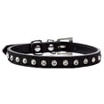 thumbnail image 1 of Apuakthei Collar de cuero grueso y ancho con remaches para perros. Adecuado para cuellos de 14" a 17", variedad mediana., 1 of 5