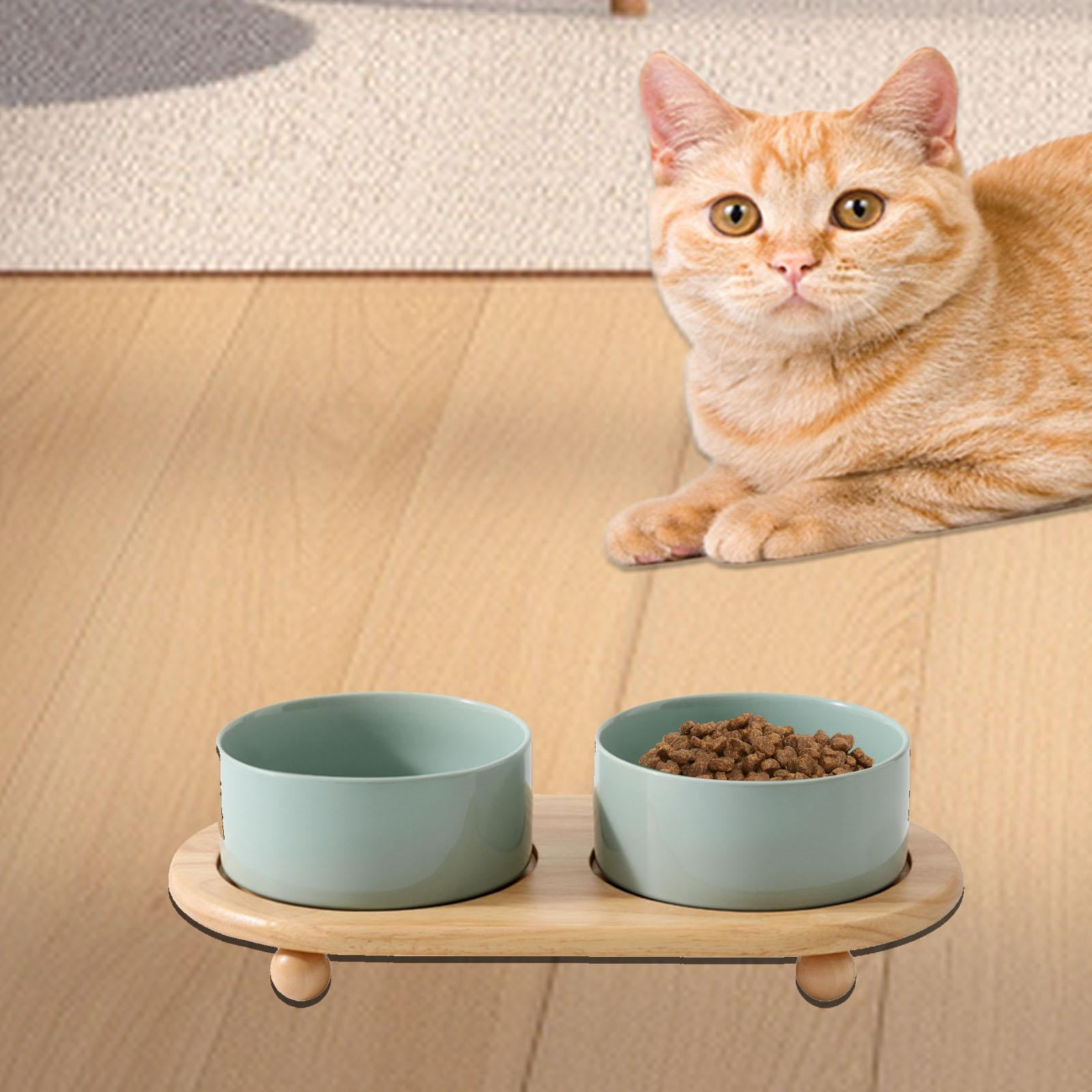 TOOYFUL Ceramic Stoneware Pet Bowl .Cat Food Bowls Feeder Set .Smooth Elevated Cat Bowls. Ceramic Cat Dish Dog Bowls for Puppy Water light green