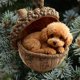 thumbnail image 5 of Adorno navideño de animales del bosque para árbol | Decoración de criaturas del bosque | Decoración navideña colgante para árbol, corona, guirnalda o centro de mesa | Detalle festivo para el hogar, 5 of 7