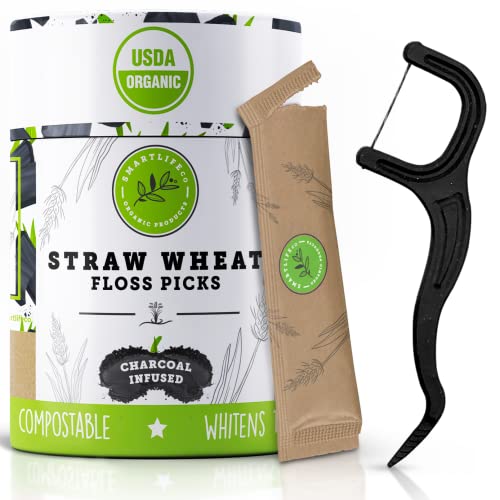 Individually Wrapped Dental Floss Picks Natural Charcoal Teeth