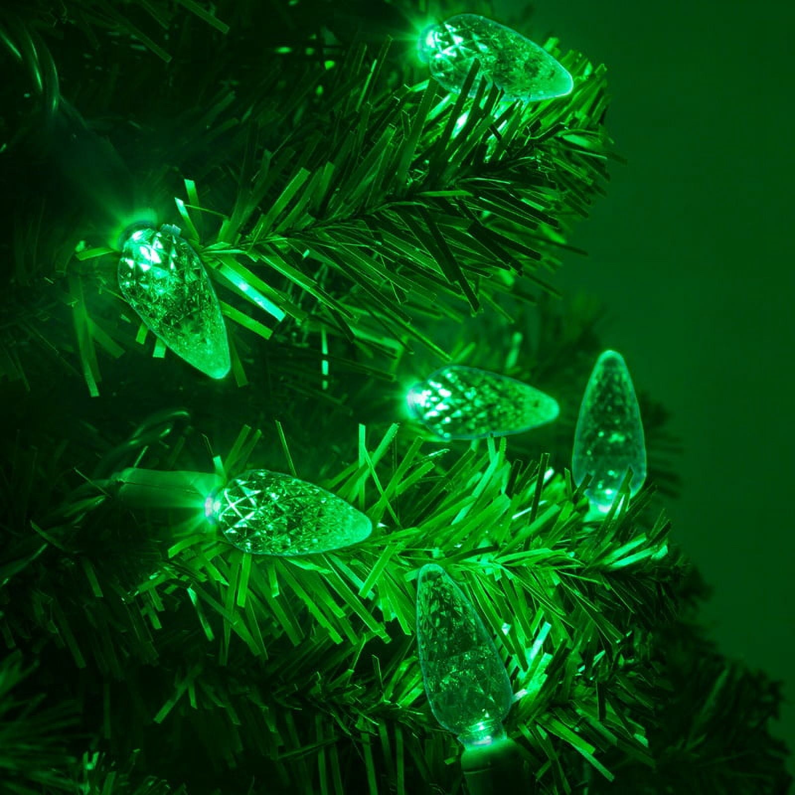 Wintergreen Lighting C6 Green Christmas Lights LED String Lights, Set of 70 Lights on Green Wire, 24 Ft - Indoor/Outdoor Lighting