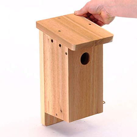 Birds Choice BBKIT Cedar Songbird Nest Box Kit, Bird House, Natural Cedar