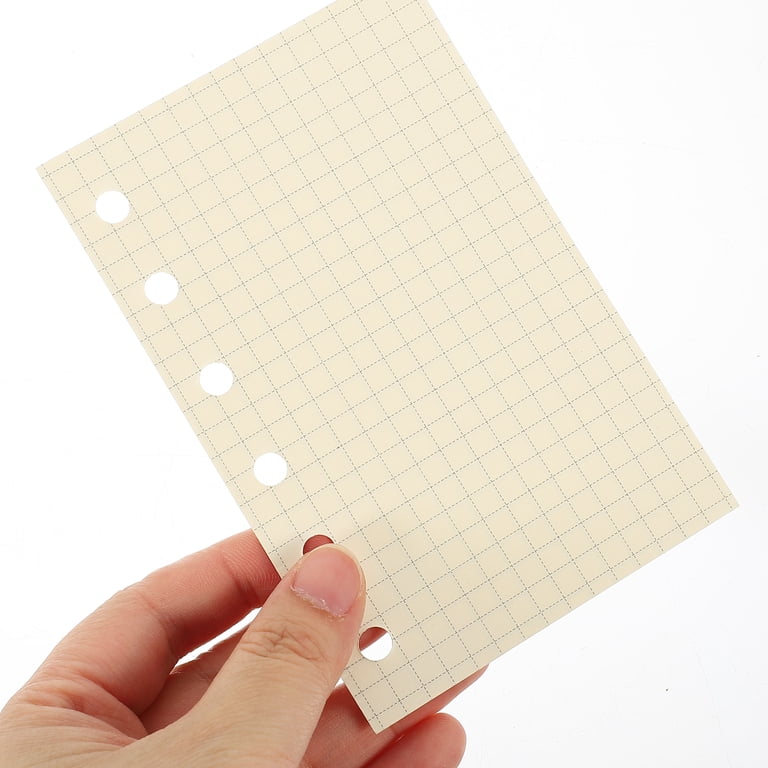 135 Feuilles A5 Quadrillées 5mm - Perforation 6 Trous - Papier 100g/m² - Pour Classeur, Bullet Journal, Carnets à Anneaux