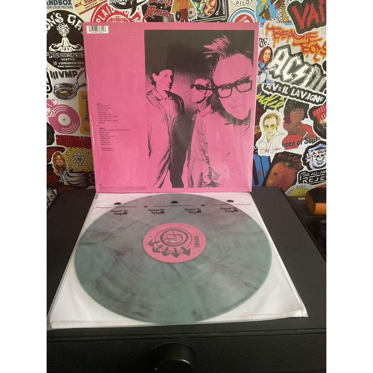 One More Time Blink-182 (Vinyl Record) - Walmart.com