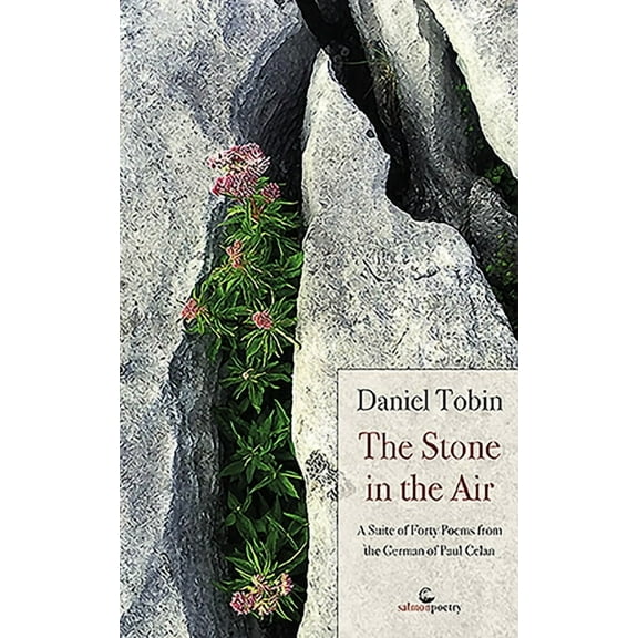 The Stone in the Air : A Suite of Forty Poems from the German of Paul Celan (Paperback)
