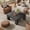 Gray, variant on Tribesigns 39.37" Low Square Coffee Table, Farmhouse Large Tea Accent Table Center Table for Living Room(Rustic Brown)