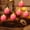 Pink, variant on 6-Pack Flameless LED Candles – Battery Operated Apple Tea Lights, Halloween Christmas Decor, Wedding Centerpieces, Safe Flickering Electric Candles, Holiday Home Accessories
