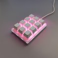 thumbnail image 2 of Sidaley Teclado de 12 teclas con cable para oficina en casa, teclado Universal de respuesta rápida para ordenador, teclas programables para Computadoras y accesorios Blanco, 2 of 6