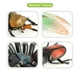 thumbnail image 3 of Volnau Insect Toys Figurines 13PCS Bug Toys Figure Pack Decorations Educational Cicada Bee Spider, 3 of 10