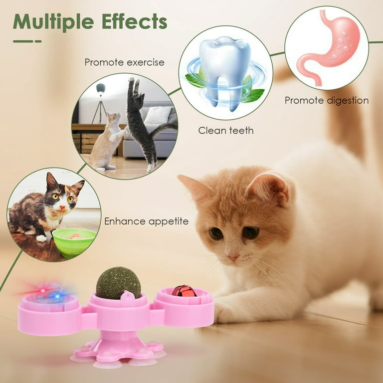 Cat Toys for Indoor Cats, Best Interactive Cat Puzzle Feeder Toys with  Catnip Ba