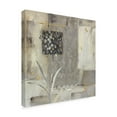 thumbnail image 2 of Trademark Fine Art 'Shades of Gray I' Canvas Art by Lisa Audit, 2 of 3