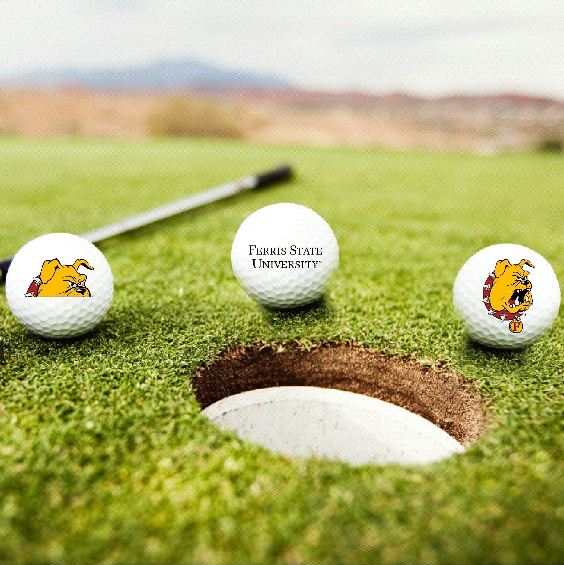 Ferris State University Bulldogs Logo Edition Officially Licensed NCAA Taylormade Distance+ Golf Balls 12-Pack (Dozen)