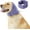 Purple, variant on Dog Quiet Ear Cover Muffs for Small Medium Large Dogs,Calming Dog Anxiety Relief Dog Ear Wrap Head Cover,Dog Quiet Snood Hooded for Bathing Grooming Force Drying Purple M