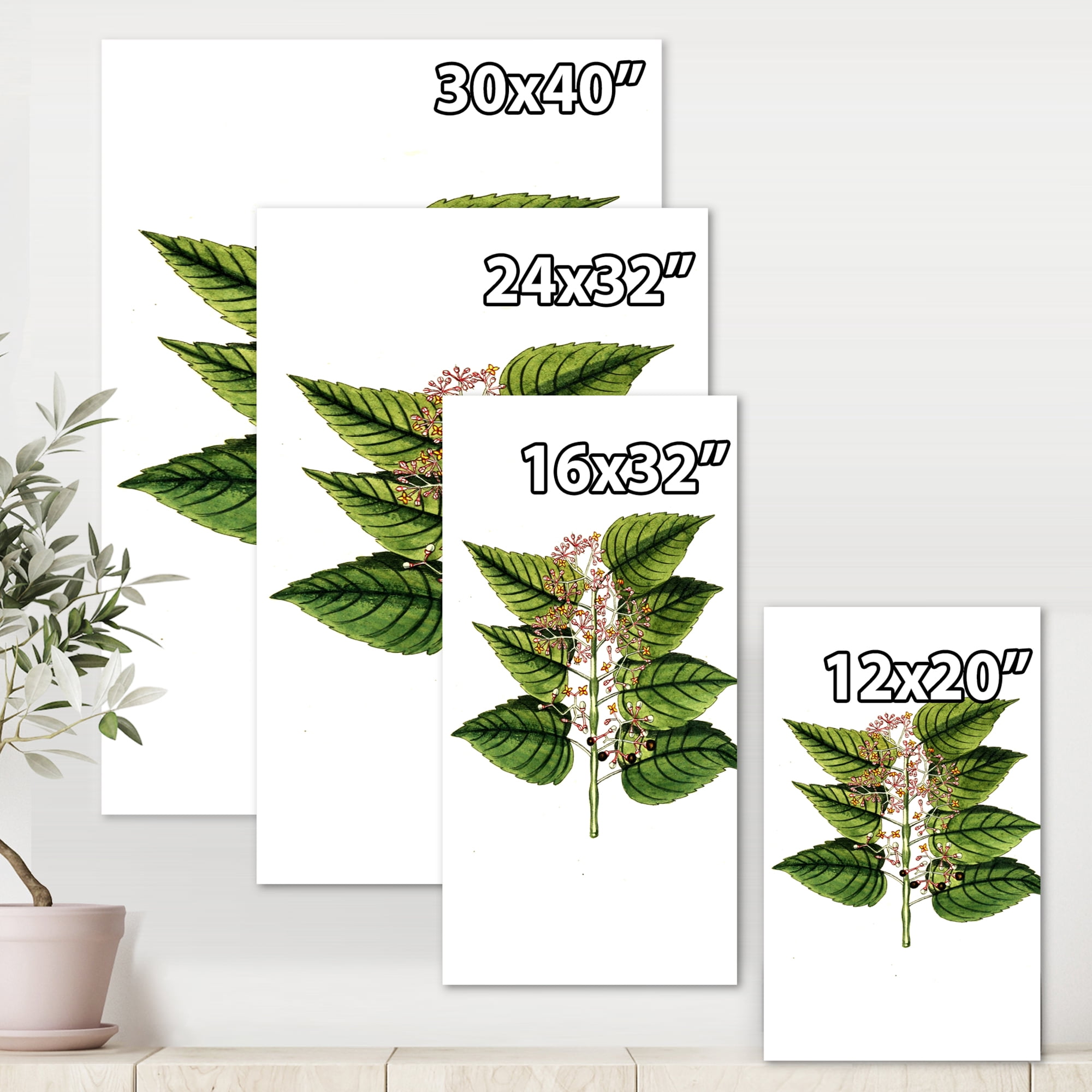 Designart ' Ancient Plant Life XXVI ' Traditional Canvas Wall Art Print