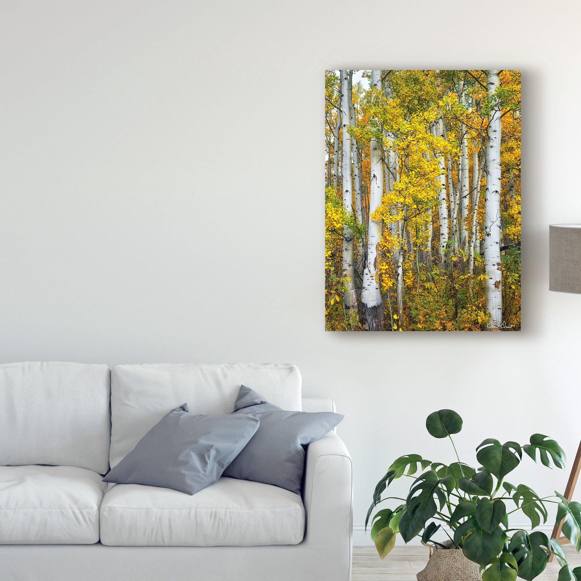 Trademark Fine Art 'Yellow Woods V' Canvas Art by David Drost