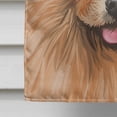 thumbnail image 4 of Carolines Treasures CK6655CHF Pomeranian Dog American Canvas House Size Outdoor-Flags, Multicolor, 4 of 4