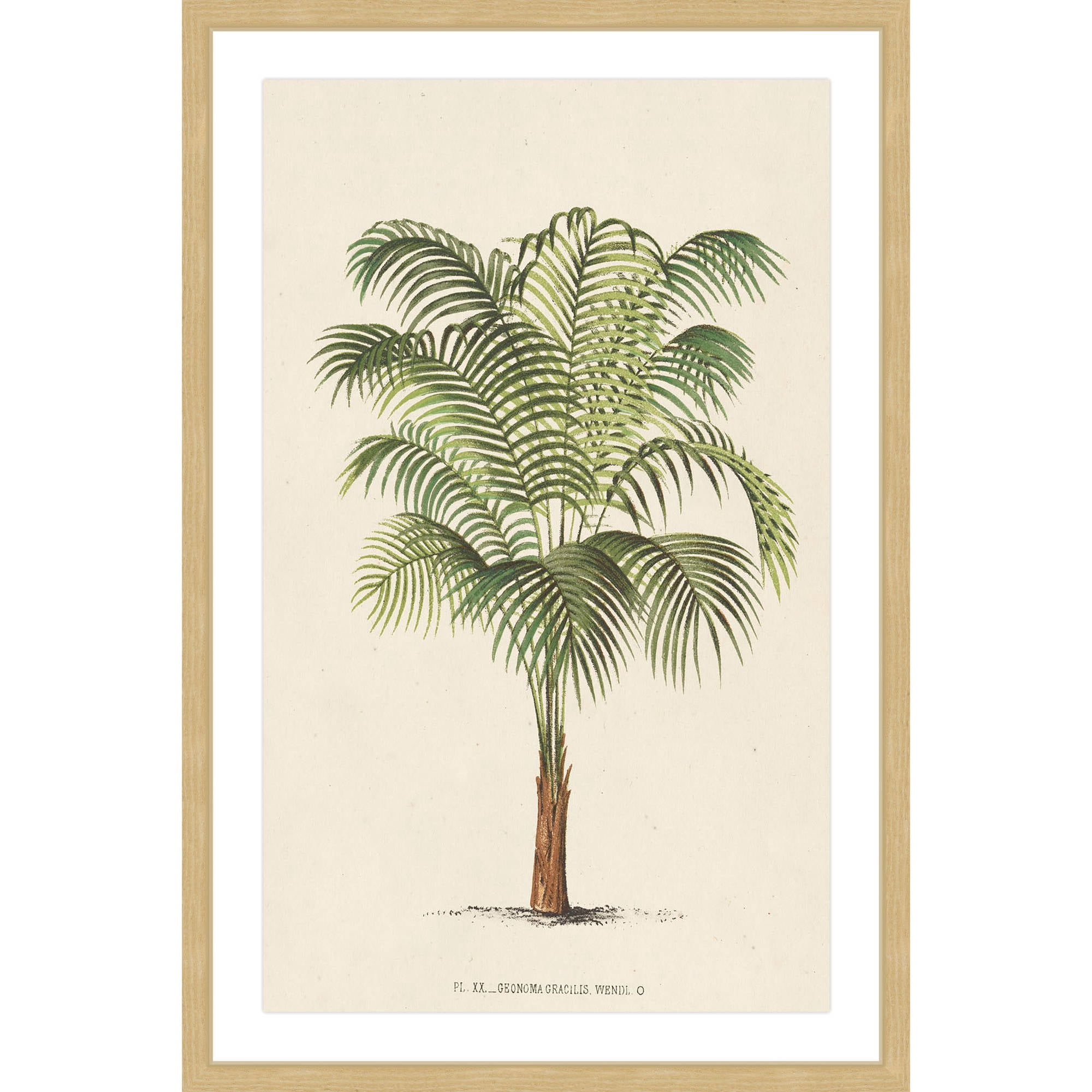 Marmont Hill "Les Palmiers II" Framed Painting Print