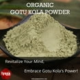 thumbnail image 2 of Iyasa Holistics Organic Gotu Kola Powder, 8 oz Value Pack for Brain, Hair and Skin care, 2 of 9