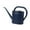blue, variant on figatia 2L Watering Can Sturdy for Garden Flowers House Plants Indoor Outdoor Plants blue