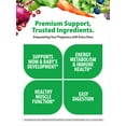 thumbnail image 4 of Prenatal One Multivitamin | with Folate, Calcium and Iron | 45 Tablets | by Rainbow Light, 4 of 6