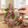 thumbnail image 6 of Artificial Greenery Plants Outdoor, 5 Pcs Red Faux Coleus Plants UV Resistant Silk Plants with Stems, Fake Plants for Outside Garden Patio Hanging Planter Pathway Front Porch Decoration, 6 of 8