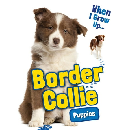 Border Collie Puppies - eBook (Best Food For Border Collie Puppy Uk)