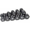 thumbnail image 4 of CAP Barbell, 10lb Black Neoprene Dumbbell, Pair, 4 of 5