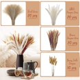 thumbnail image 4 of Boho Decor Pampas Grass 70 piezas 17 pulgadas flores secas pomposas Afortunado Sencillez, 4 of 4