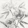 thumbnail image 3 of Robinson, Carol 20x20 Black Modern Framed Museum Art Print Titled - Linen Peony Sketch II, 3 of 5