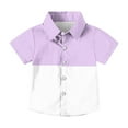 thumbnail image 6 of CYRBOKOToddler Boys Button Down Shirts, Holiday Casual Short Sleeve Comfy Summer Tops Purple Size 9-10 T, 6 of 7